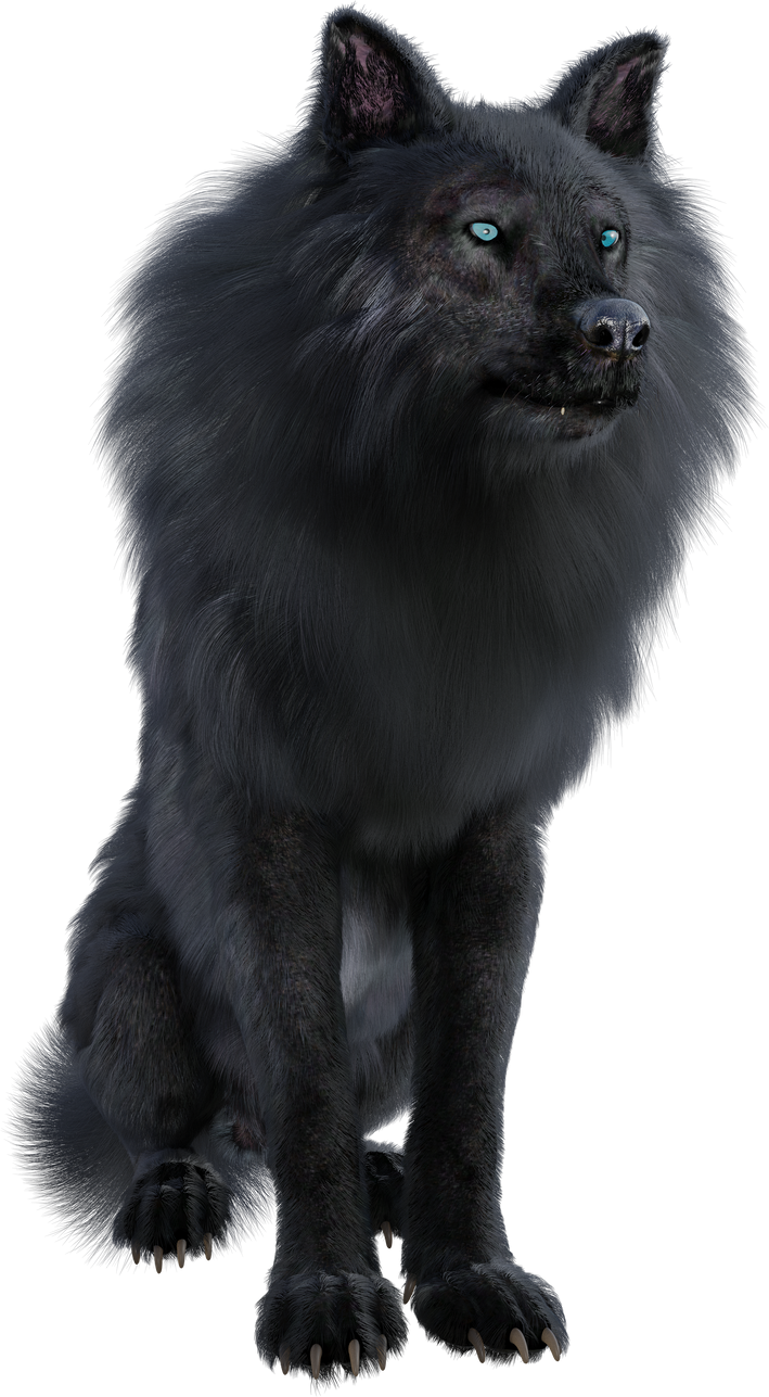 Black Wolf Cutout